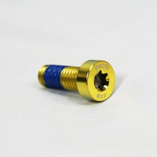 Proti M8 Universal Bolt M8L22-OTB02 x1